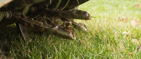 Aeration machine up close aerating a lawn near Arlington, VA.