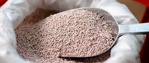 Granular fertilizer being scooped from a bag to use on a lawn in Artlington, VA.