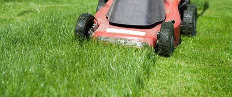 Lawn mower cutting a lawn of tall grass near Fairfax, VA.