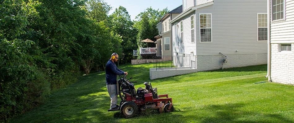 A Hambleton Lawn & Landscape worker mowing a lawn in Arlington, VA.