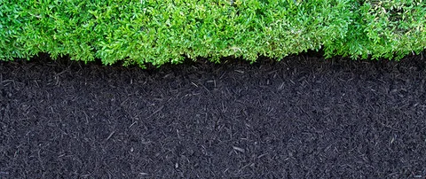 A beautiful landscape bed with fresh mulch, trimmed shrubs, and no leaves in McLean, VA.