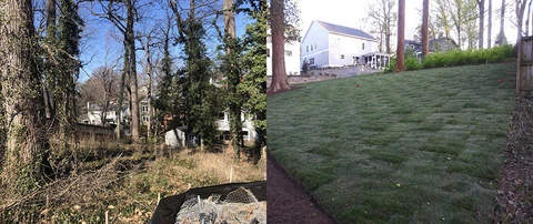 A yard transformation from chaotic weeds to a beautiful, clean, new sodded lawn.