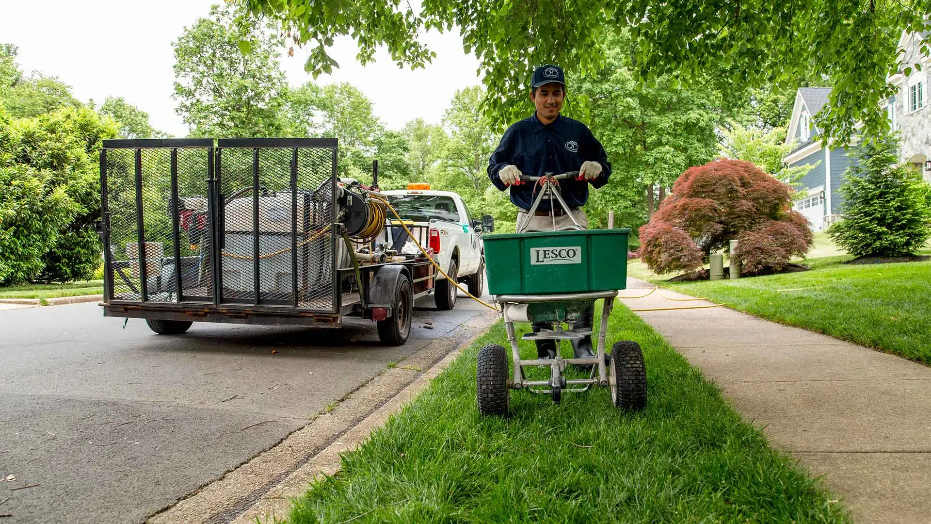 Man fertilizing a lawn with a work trailer and truck parked in the street in the background.
